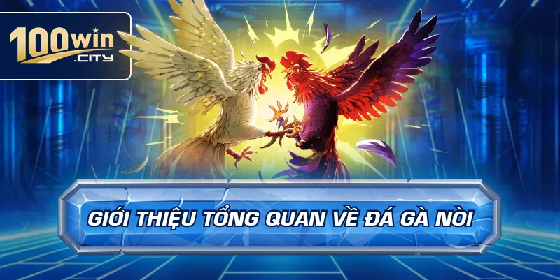 Giới thiệu tổng quan về đá gà nòi