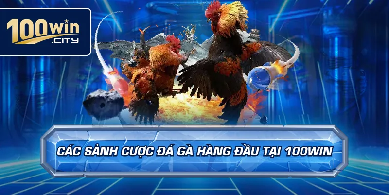 Các Sảnh Cược Đá Gà Hàng Đầu Tại 100win