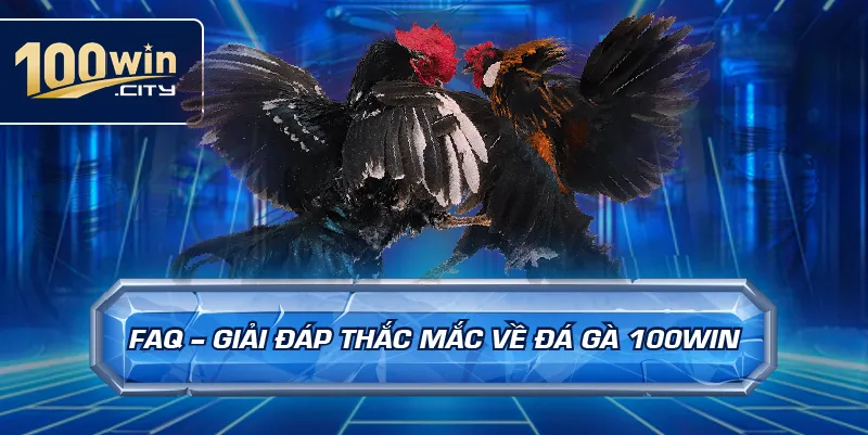FAQ – Giải Đáp Thắc Mắc Về Đá Gà 100win