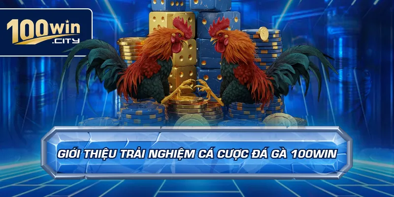 Giới Thiệu Trải Nghiệm Cá Cược Đá Gà 100win