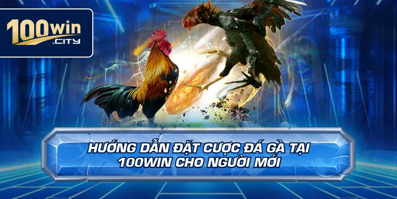 Hướng Dẫn Đặt Cược Đá Gà Tại 100win Cho Người Mới